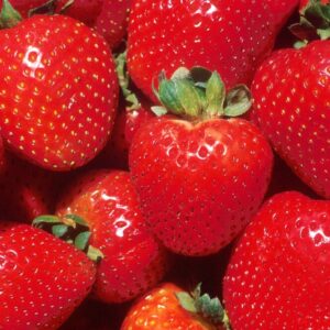 STRAWBERRIES