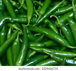 Green Mirchi 1kg