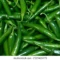 Green Mirchi 1kg