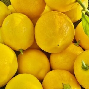 lemons 1 kg