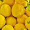 lemons 1 kg