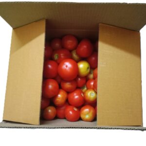 Tomato 4 kg box