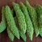 Bitter Gourd 1 kg