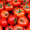 Tomato 1 kg
