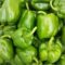 CAPSICUM GREEN 1 KG