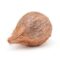 Coconut 1 pc