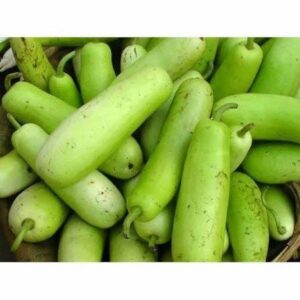 Bottle Gourd 1 pc
