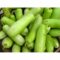 Bottle Gourd 1 pc