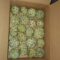 Custard Apple 2.5 KG Box