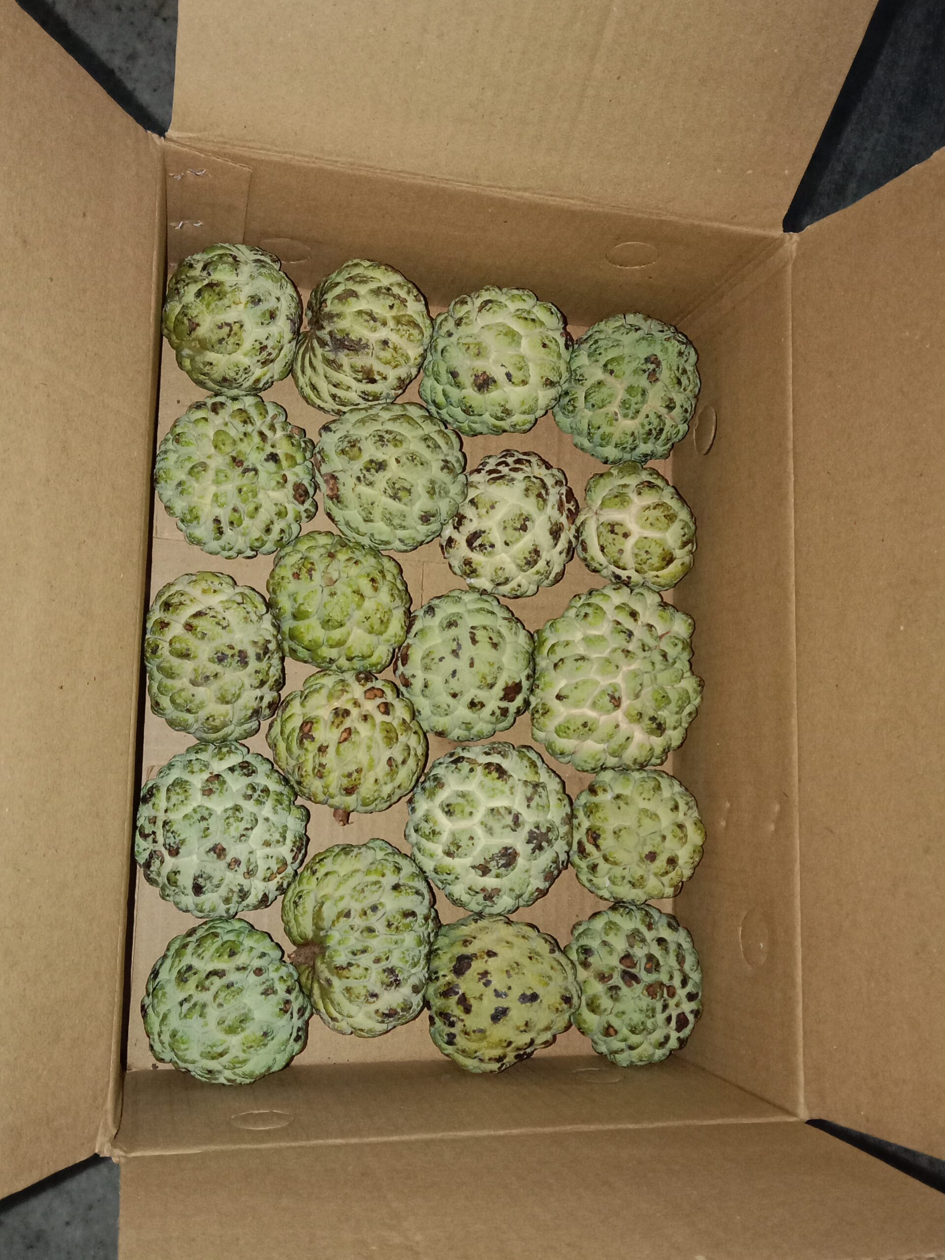 Custard Apple 2.5 KG Box
