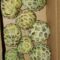 Custard Apple 1 KG Box